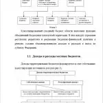 Иллюстрация №2: Анализ финансового состояния территориальных бюджетов за 2012-2016 гг. (Курсовые работы - Финансы).